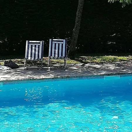 Lux Garden And Swimming Pool Apartment
