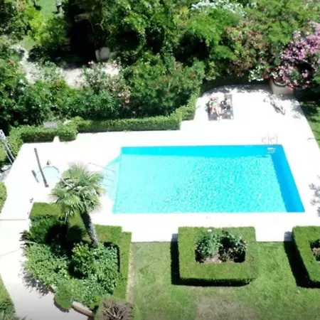 Lux Our Swimming Pool And Garden * Cannes
