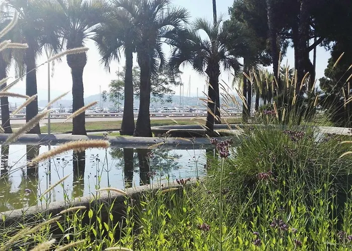 Lux Our Swimming Pool And Garden * Cannes