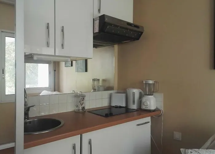 Lux Our Swimming Pool And Garden Cannes